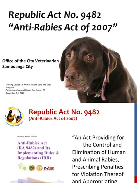 RA9482 THE ANTI RABIES ACT and Responsibilities of a Pet .